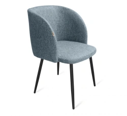 Metal Frame Chair Sheffilton SHT-ST33/S129