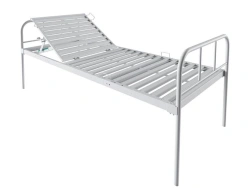 Medical Bed with Accessories MV100 (Model MV111.1.0.1)