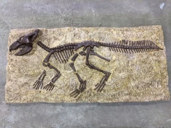 Fiberglass Figure for Demonstration and Entertainment Purposes