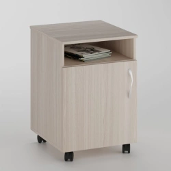Mobile Storage Cabinet with 1 Compartment and 1 Shelf with Door