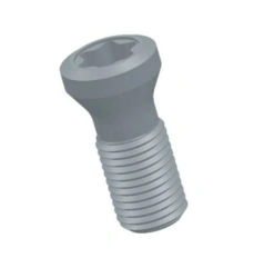 Fastener Screw for Replaceable Multisided Plates SM 3x8-T