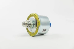 Pressure Sensor 6402.3829010