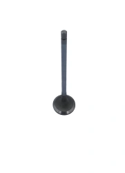 Inlet valve RDG 3635051