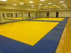 Flat Tatami Mat with PVC or Judo Fabric Covering