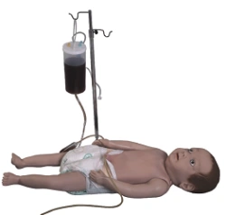 Multi-functional Newborn Care Model for Skills Training, Art. PS6200 / 20