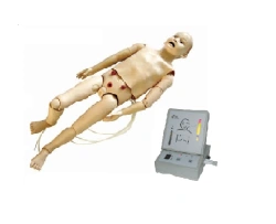 Multifunctional 5-Year-Old Child Mannequin for Care, CPR, Auscultation, Art. T434