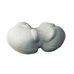 Enlarged Model of the Human Cerebellum, 18209