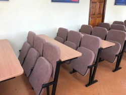 Soft Monoblock with Foldable Seats for Auditoriums