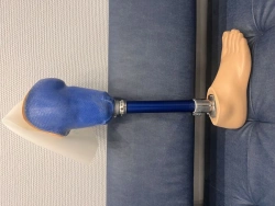 Modular Bathing Prosthesis for Lower Leg