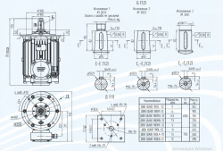 Explosion-Proof Vertical Induction Motors DVV 180, up to 7.5 kW