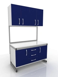 Universal Medical Module with Door and Shelves - Model 203-002-1