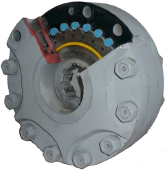 Reversible Hydraulic Planetary Motors RPG