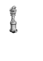 Valve 883-250-EMF-01 for Thermal Power Plants