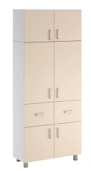 Medical Cabinet for Storing Supplies and Instruments, Model SHK.13.19 (Mod.1)