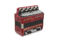 Etude 205M2 Two-Voice Student Accordion 55×100-II
