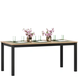 Techno LD.678040.000 Table (Golden Oak/Black)