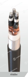 Power Cable with Aluminum Conductors and Cross-Linked Polyethylene Insulation (6-35 kV) AПвБВнг(А)