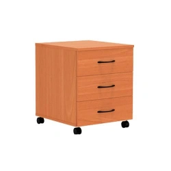Ergonomic Document Storage Cabinet with 3 Drawers