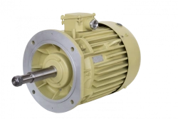 Three-Phase Induction Motors 2DMShN 160, 2DMShNM 160