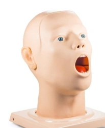 Anatomically Accurate Human Head Phantom Model CS28