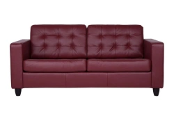 Elegant Camelot 2-Seater Sofa for Modern Living Spaces