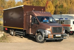 Special Purpose Vehicle for Transporting Hazardous Goods Type 47123