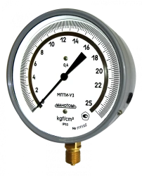 Precision Pressure Gauge with Reflective Scale MPITI 0.4 160MM