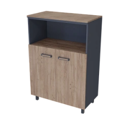 Medium Document Cabinet with Niche PREGO