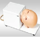 Infant Venepuncture Head Model, Art. G3