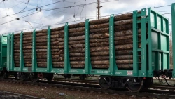 Timber and Vehicle Transport Flat Wagon 13-198