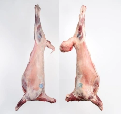 Fresh or Frozen Lamb Meat - Bone-In and Boneless