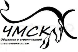 Grader Frame for Enhanced Earth Moving Efficiency B250.22.00.100