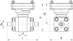 Steel Ball Valve for Sealing and Connecting - ATEK.491811.110