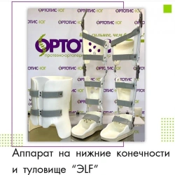 Lower Limb and Torso Rehabilitation Device (VERTICALIZER) ANKT 3304