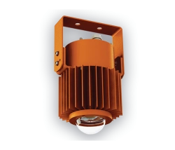Explosion-Proof LED Industrial Lights for Outdoor and General Lighting - DSP34-30 Leda EX