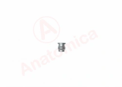 Bone Fracture Fixation Screw M12