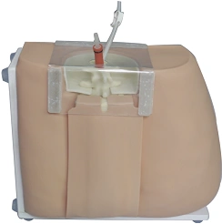 Epidural Anesthesia Training Manikin for Lumbar Puncture, Art. L60
