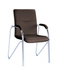 Metal Frame Chair with Plywood Seat and Wooden Armrests