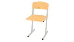 Non-Adjustable Student Chair 6th Grade Model 203.005