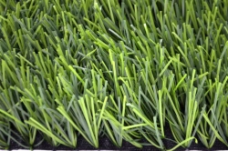 Artificial grass Grass 25/10 L