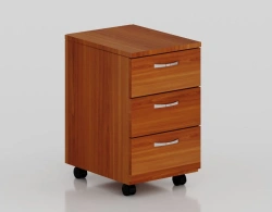 Mobile Storage Cabinet for Papers