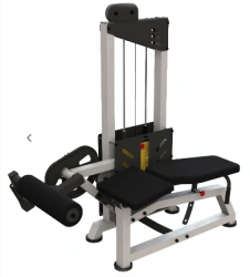 Hamstring Curl Machine for Leg Biceps - Professional Model