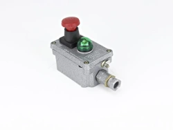 Explosion-Proof Control Station with Indicator PVK-18