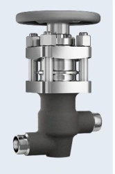 Safety Bellows Shut-off Valve TD26161-010 for Nuclear Applications