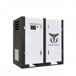 Oil-Free Screw Air Compressor Station CADUCEUS AIRCAD 3-110 WS