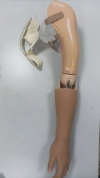 Cosmetic Arm Prosthesis PR4-KVO