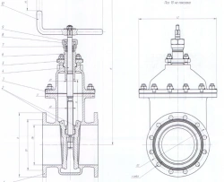 Brass wedge valve DN 80 PN 0.6 MPa IYUKL.491655.011-01