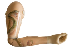 Energy-Powered Prosthetic Arm PR4-B1