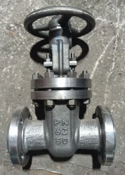 Steel Wedge Gate Valve with Rising Stem and Handwheel PN 6.3 MPa DN 50