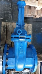 Steel Wedge Gate Valve with Extended Spindle for PN 2.5 MPa DN 250
